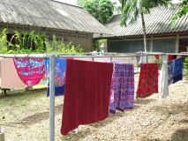 IMG_6153_resize.JPG